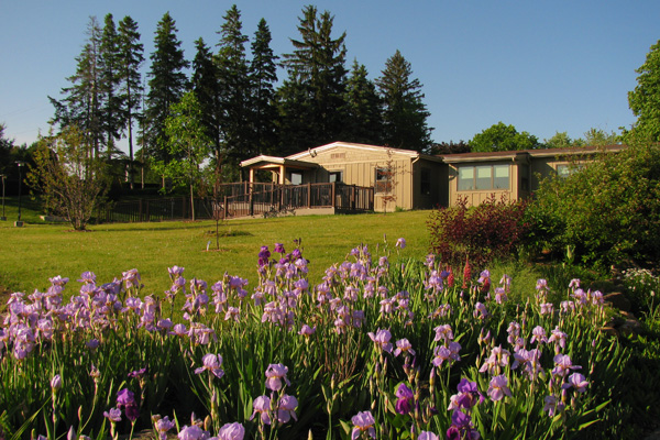 ignatius centre